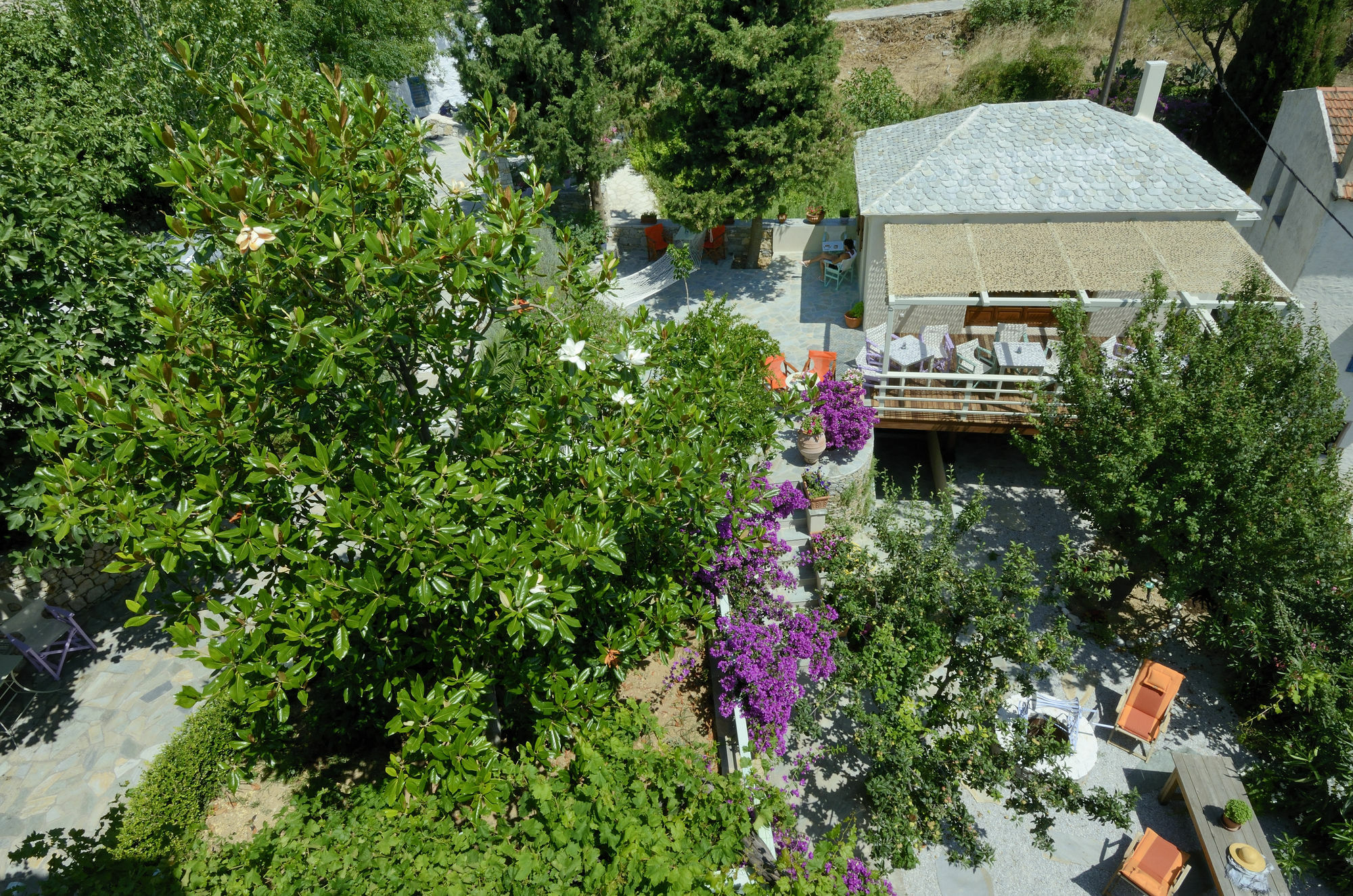 Konstantina Studios Alónnisos Extérieur photo